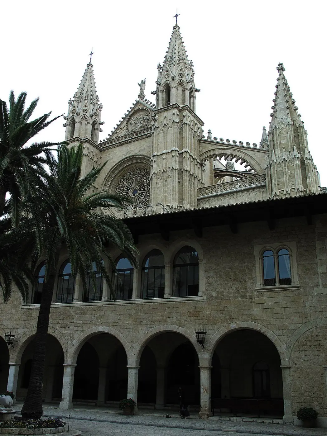 Waffenhof des Palau de l’Almudaina mit Arkaden und Palme, dahinter die Kathedrale