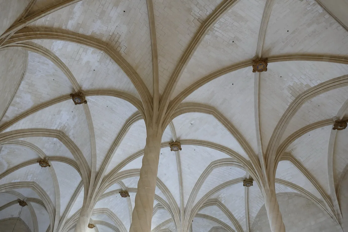 Blick nach oben ins Rippengewölbe der Llotja mit gedrehten Säulen