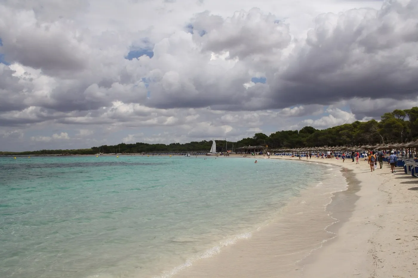 Heller Sandstrand von Es Trenc mit flachem, türkisem Wasser und Kiefern am Horizont